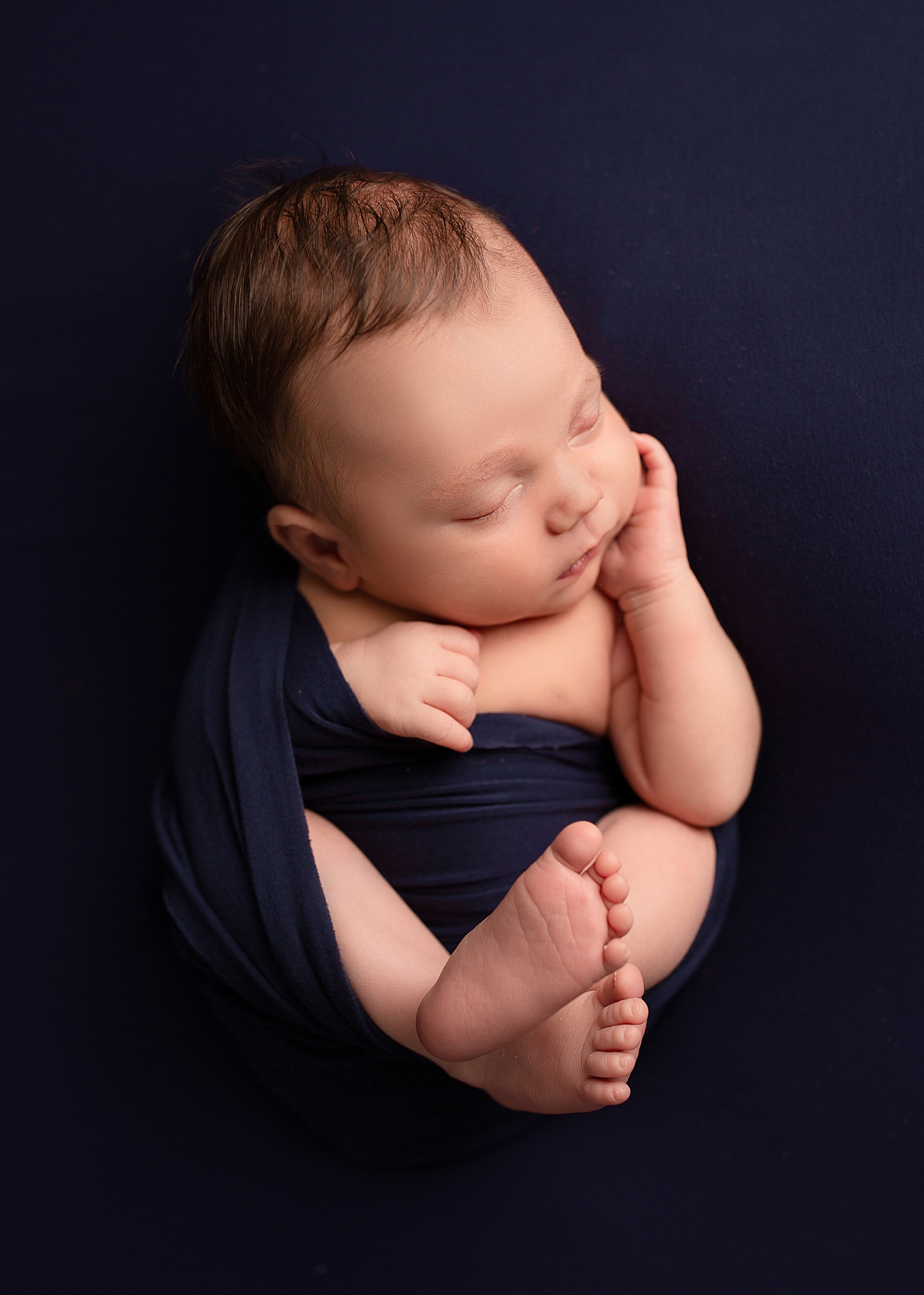 A newborn baby boy is photographed in a wrapped up position on navy blue.