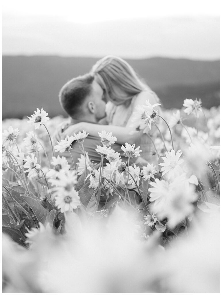 A couple during their Kamloops balsamroot engagement session.